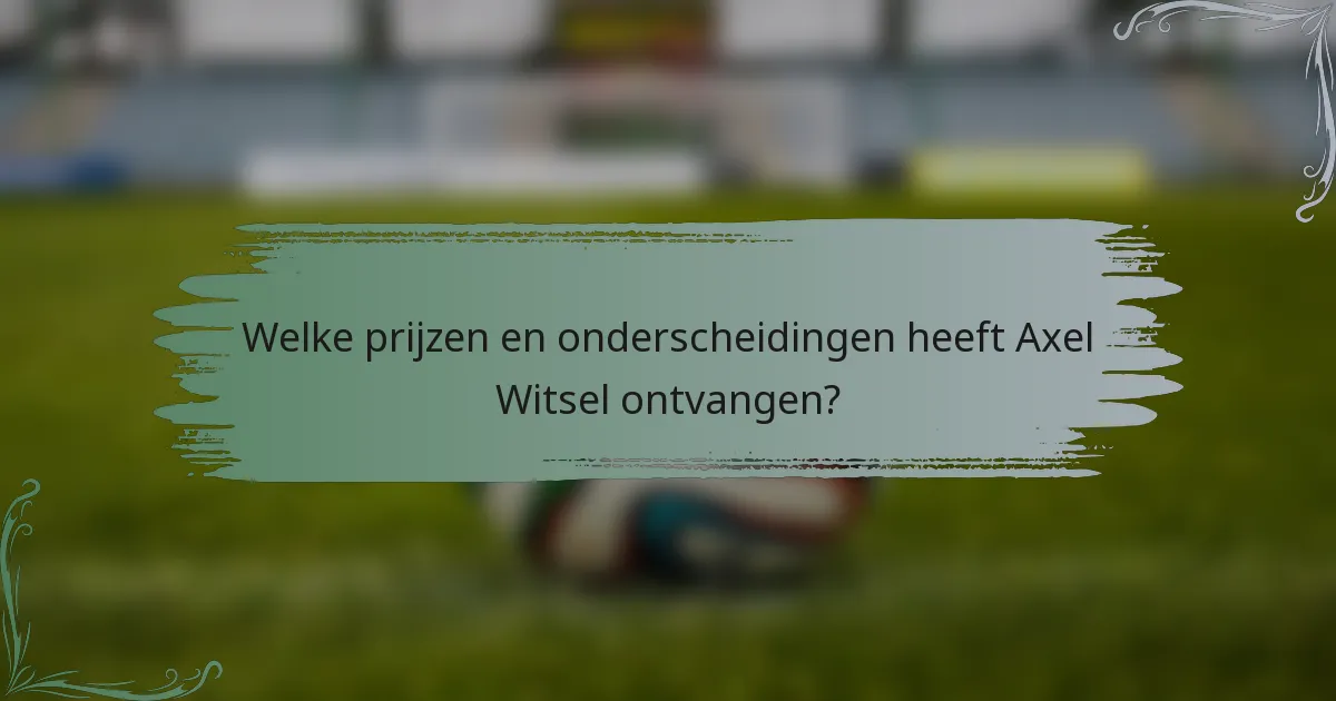 Welke prijzen en onderscheidingen heeft Axel Witsel ontvangen?